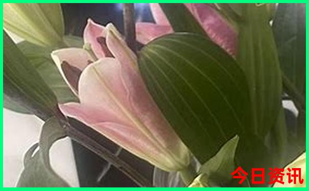 中国的寺庙排名榜